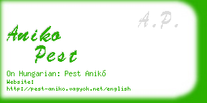 aniko pest business card